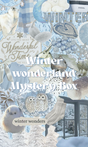 Winter Wonderland Mystery box