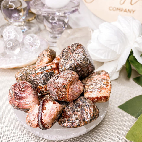 Leopard Skin Jasper Tumble
